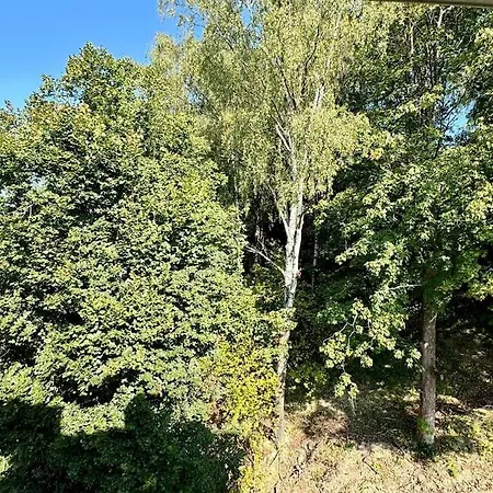 Art & High Z Parkingiem Podziemnym Apartamento Krynica Zdroj